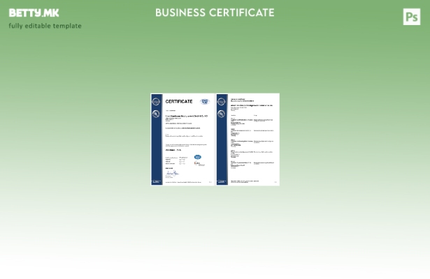 модерен стил Германија DQS сертификат за регистрација Шаблон за Word и PDF
